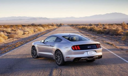 野马说锤哥在91直播,锤哥在91直播的精彩瞬间